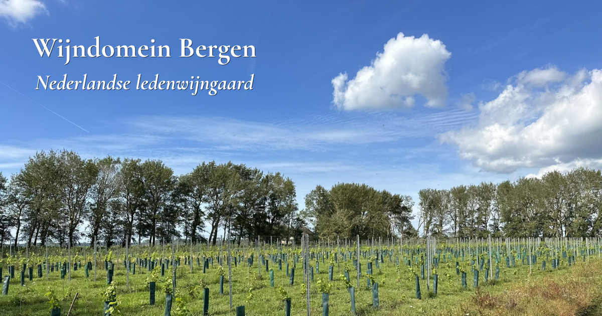 Wijndomein Bergen