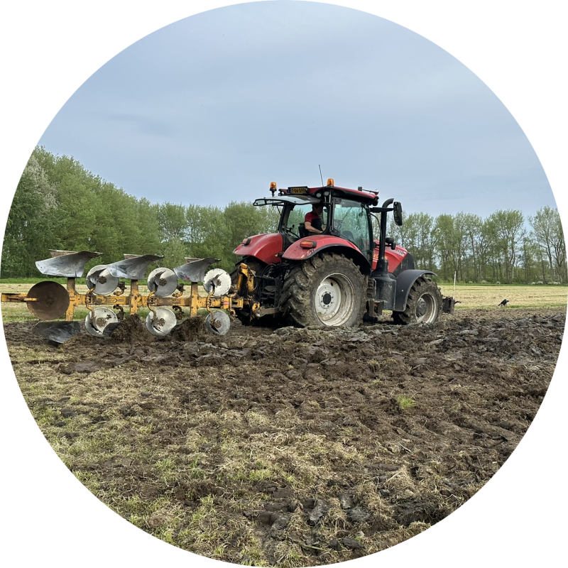 Ecoploegen voor de aanleg nieuwe wijngaard