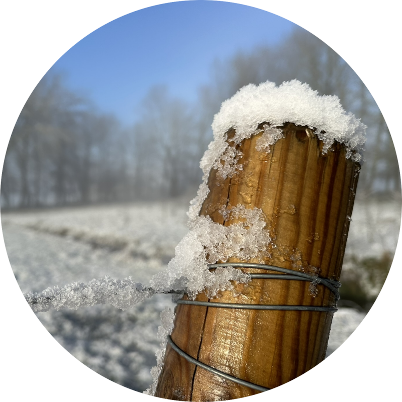 Winter in de Wijngaard