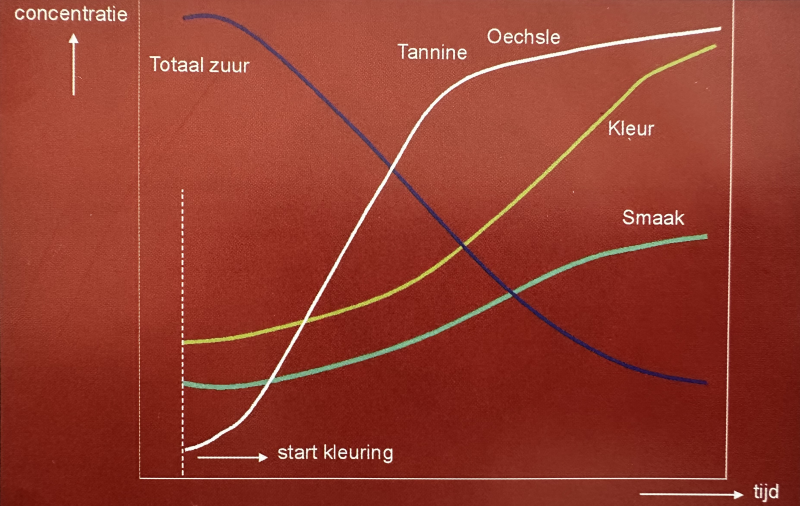 concentratie zuur tannine suiker