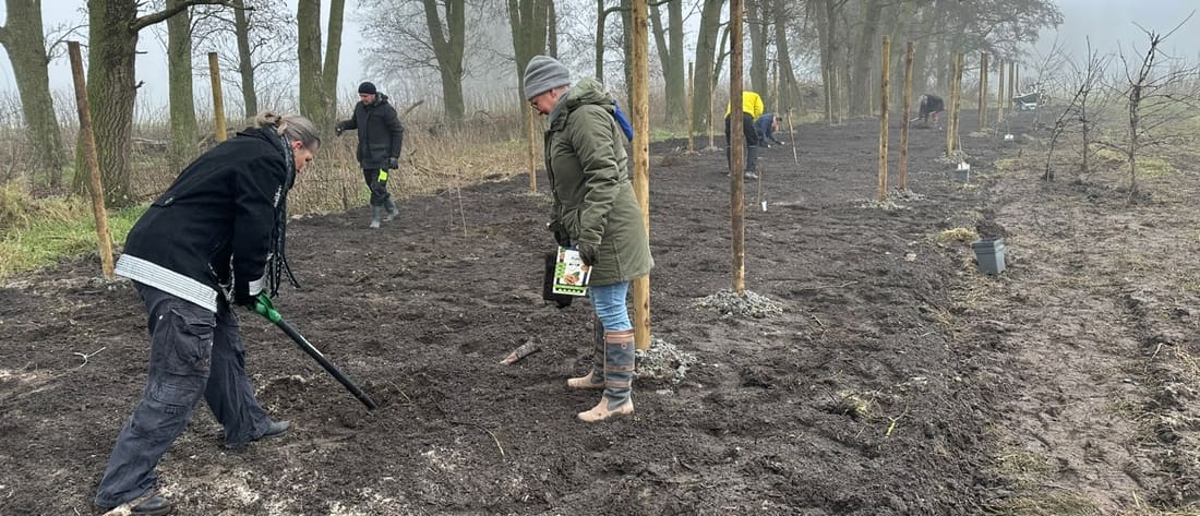 Agroforestry