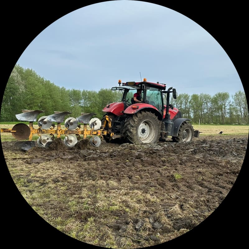 Ecoploegen voor de aanleg nieuwe wijngaard