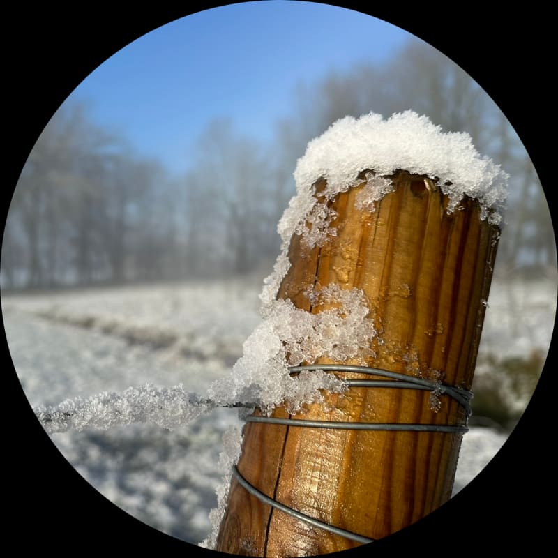 Winter in de Wijngaard