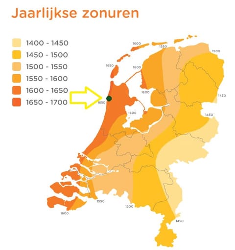 Zonuren in de wijngaard